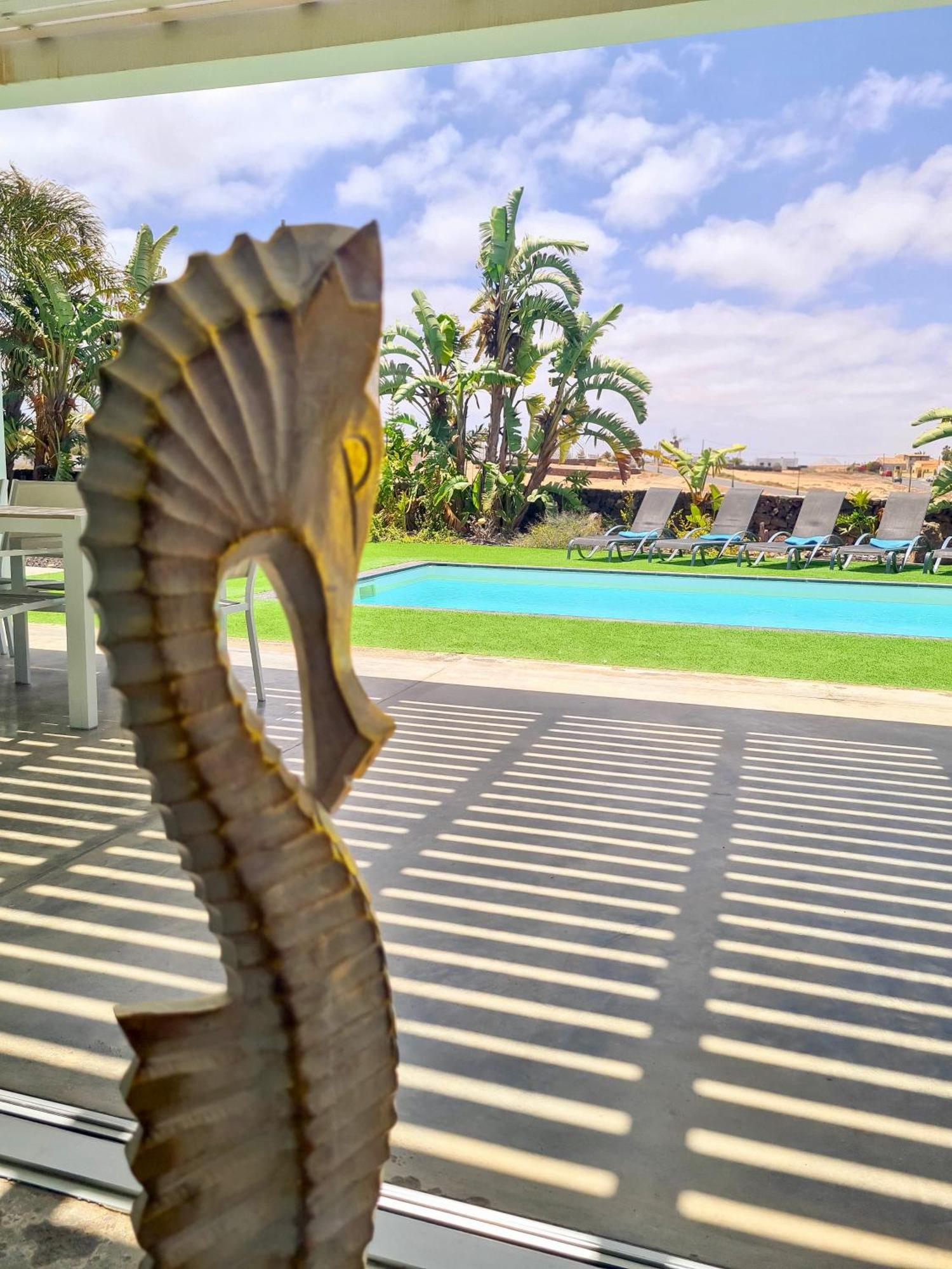 Turquesa 1 Fuerteventura Villa Lajares Luaran gambar